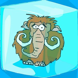 Mamute Congelado