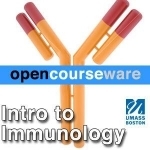 Intro to Immunology (BIOL 378/380)