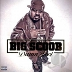 Damn Fool by Big Scoob