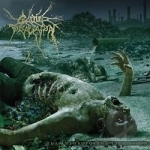 Anthropocene Extinction by Cattle Decapitation