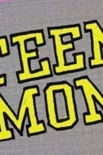 Teen Mom 3  - Season 1