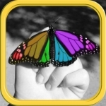 Color Editor - Photo Recolor &amp; Background Eraser