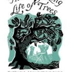 The Long, Long Life of Trees