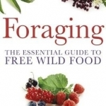Foraging: The Essential Guide to Free Wild Food