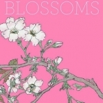 Cherry Blossoms