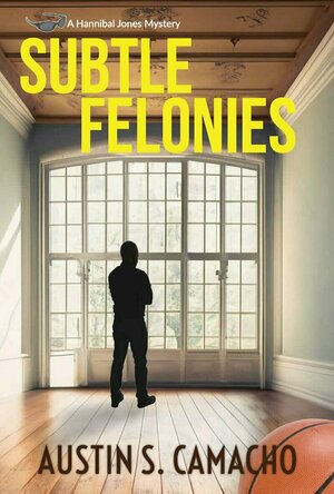 Subtle Felonies (Hannibal Jones Mystery Series)