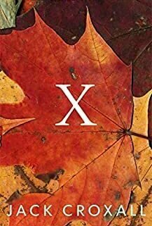 X (Novel)