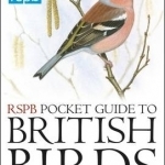 RSPB Pocket Guide to British Birds