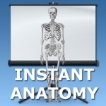 Anatomy Lectures Topics in Focus