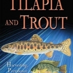 Tilapia &amp; Trout: Harvesting, Prevalence &amp; Benefits