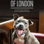 Pub Dogs of London