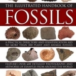 The Illustrated Handbook of Fossils: A Practical Directory and Identification Aid to More Than 300 Plant and Animal Fossils
