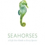 Seahorses: A Life-Size Guide to Every Species