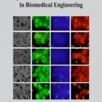 Applications of Biophotonics and Nanobiomaterials in Biomedical Engineering