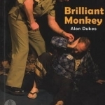 Brilliant Monkey / Skip Millers Hit Songs