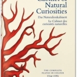 Albertus Seba's Cabinet of Natural Curiosities
