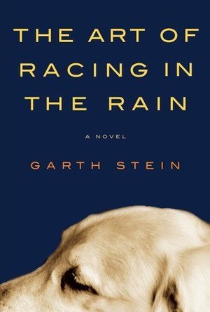 The Art of Racing in the Rain