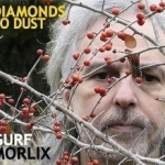 Diamonds to Dust by Gurf Morlix