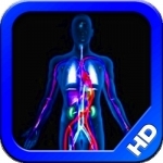 The Body HD - Human Anatomy Learning Tool &amp; Quiz