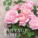 Vintage Roses: Beautiful Varieties for Home and Garden