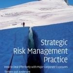 Strategic Risk Management Practice: How to Deal Effectively with Major Corporate Exposures