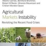Agricultural Markets Instability: Revisiting the Recent Food Crises