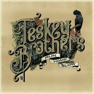 Run Home Slow by The Tesky Brothers