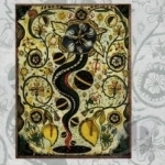 I Feel Alright by Steve Earle