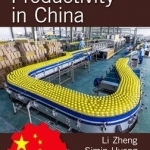 Manufacturing Productivity in China