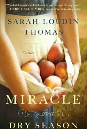 Miracle in a Dry Season (Appalachian Blessings, #1)