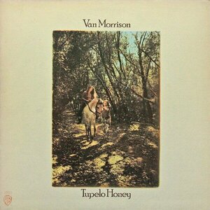 Tupelo Honey by Van Morrison