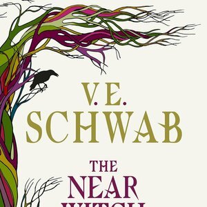 The Near Witch (The Near Witch, #1)