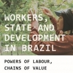 Workers, State and Development in Brazil: Powers of Labour, Chains of Value