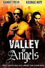 Valley Of Angels (2007)