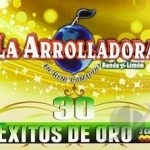 30 Exitos de Oro by La Arrolladora Banda El Limon De Rene Camacho