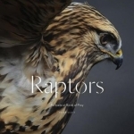 Raptors: Portraits of Birds of Prey
