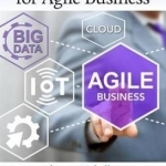 Big Data Strategies for Agile Business