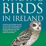 Finding Birds in Ireland: The Complete Guide