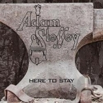 Here to Stay by Adam Steffey