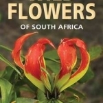 Pocket Guide: Wild Flowers of South Africa