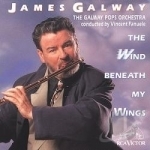 Wind Beneath My Wings by James Galway