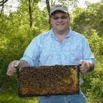 Honey Bee Man