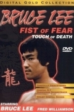 Fist of Fear Touch of Death (2004)