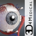 Eye - Practical Series