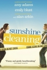 Sunshine Cleaning (2009)