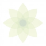 Moment – Screen Time Tracker