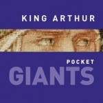 King Arthur: pocket GIANTS