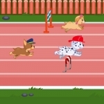 Paw Little Pups Race