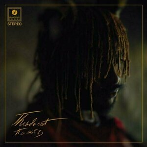 It Is What It Is by Thundercat