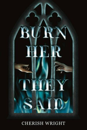Burn Her They Said (The Anomalies of Ampara Deicra #1)